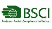 BSCI certification logo