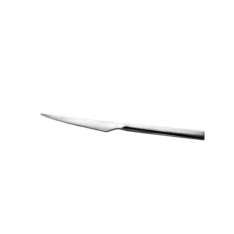 Stock Universal Stainless Steel Steak Knife for Wholesale Mirror Polish 420 stainless steel